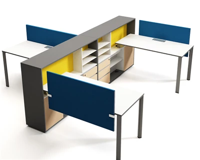 Shared Office Desk